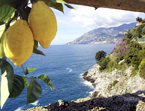 Picture of Sorrento